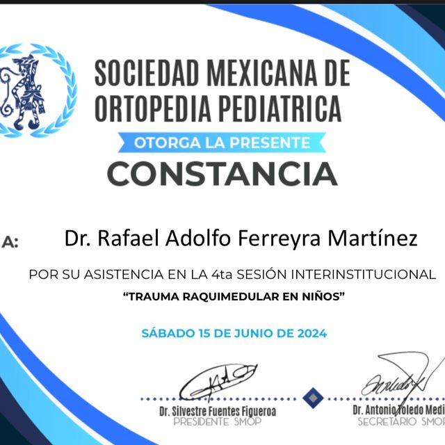 Ampliar imagen: certificate 7