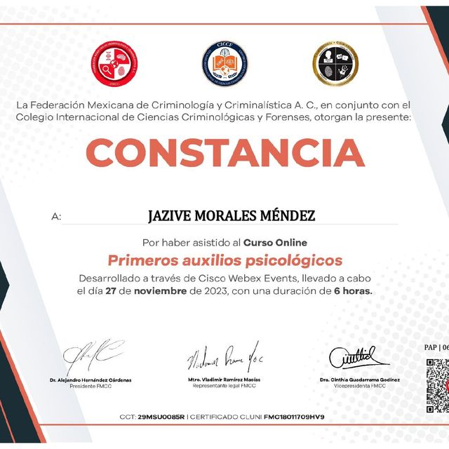 Ampliar imagen: certificate 3