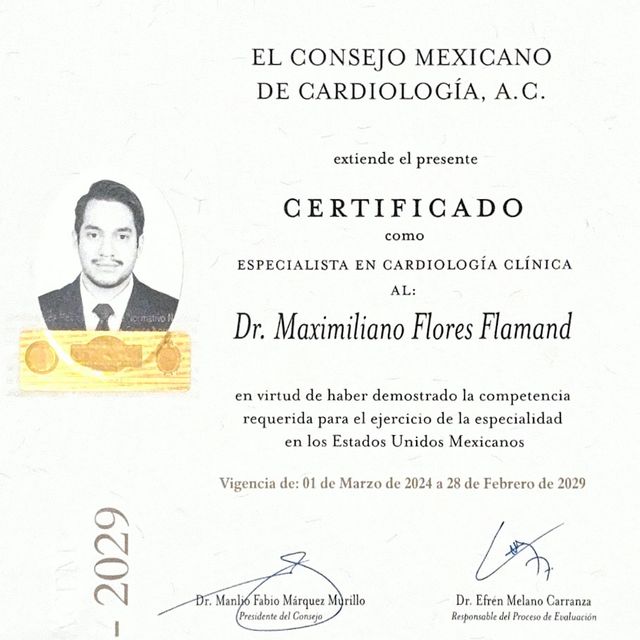 Ampliar imagen: certificate 2