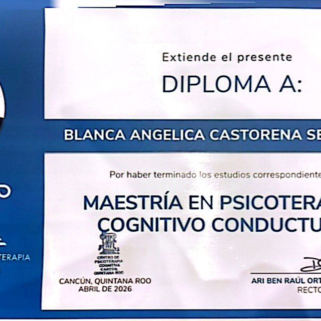 Ampliar imagen: certificate 2