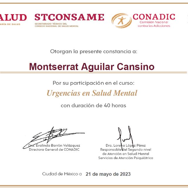Ampliar imagen: certificate 2
