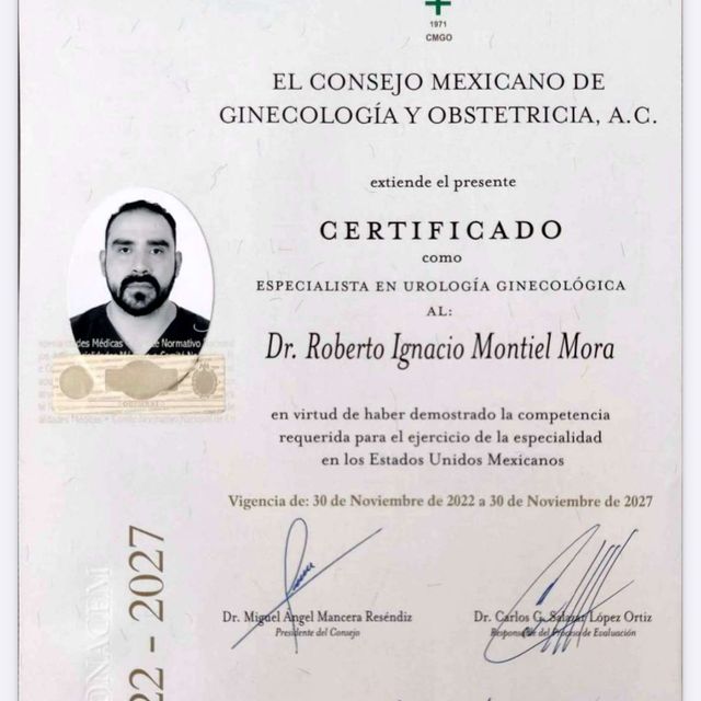 Ampliar imagen: certificate 2
