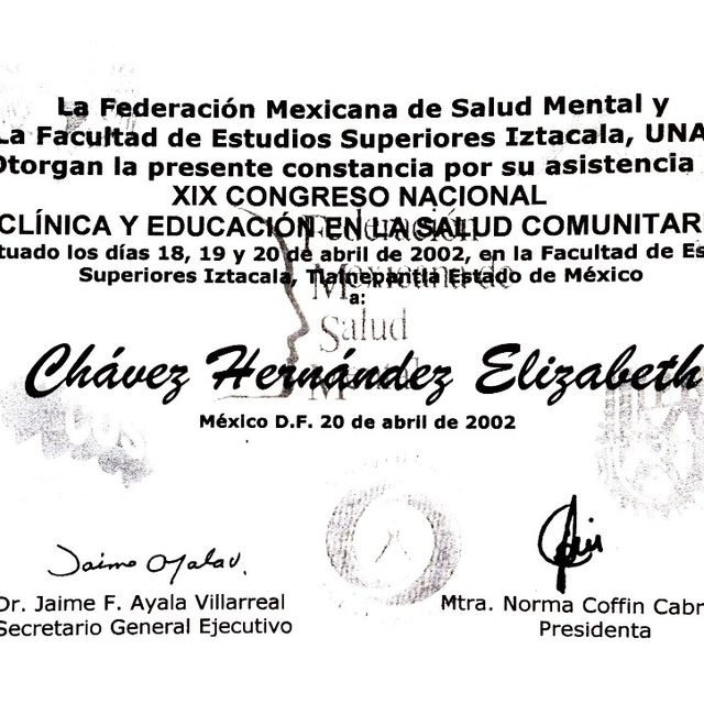 Ampliar imagen: certificate 24