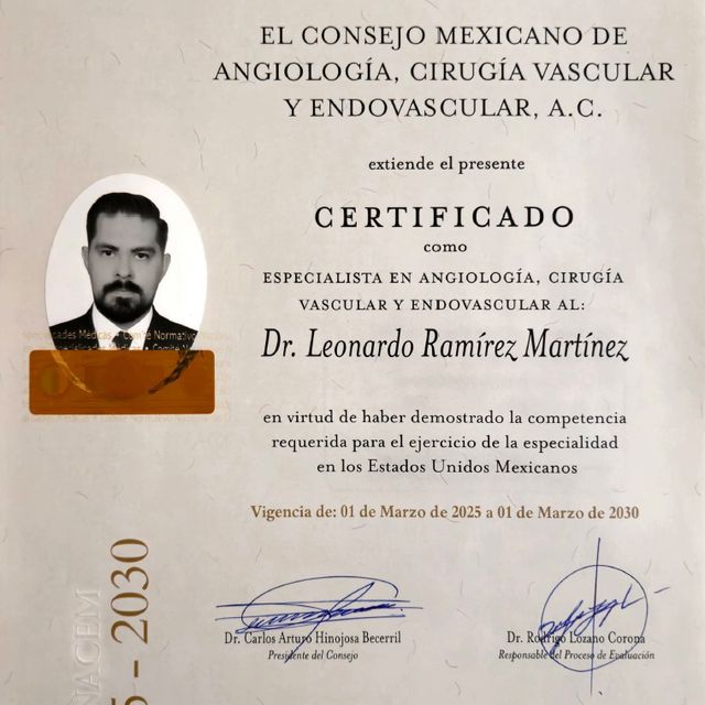 Ampliar imagen: certificate 1