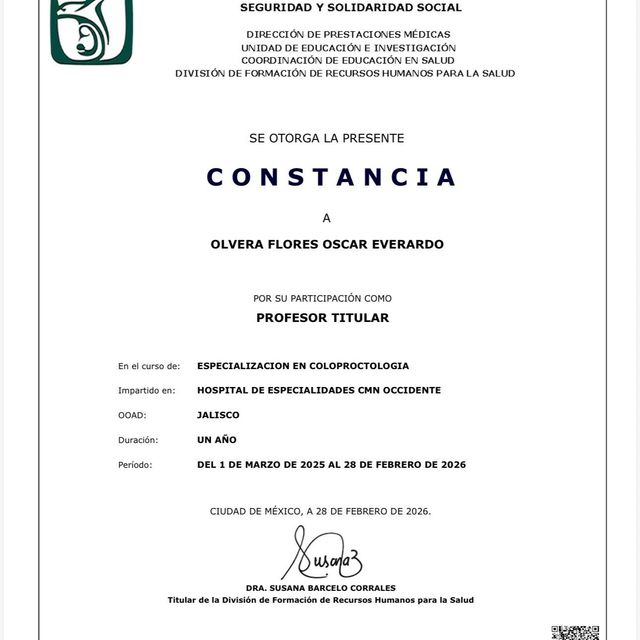 Ampliar imagen: certificate 9