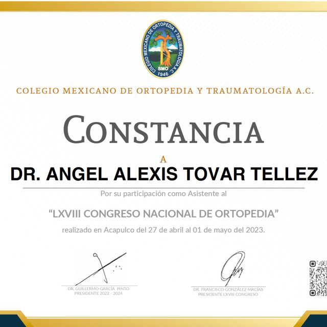 Ampliar imagen: certificate 5