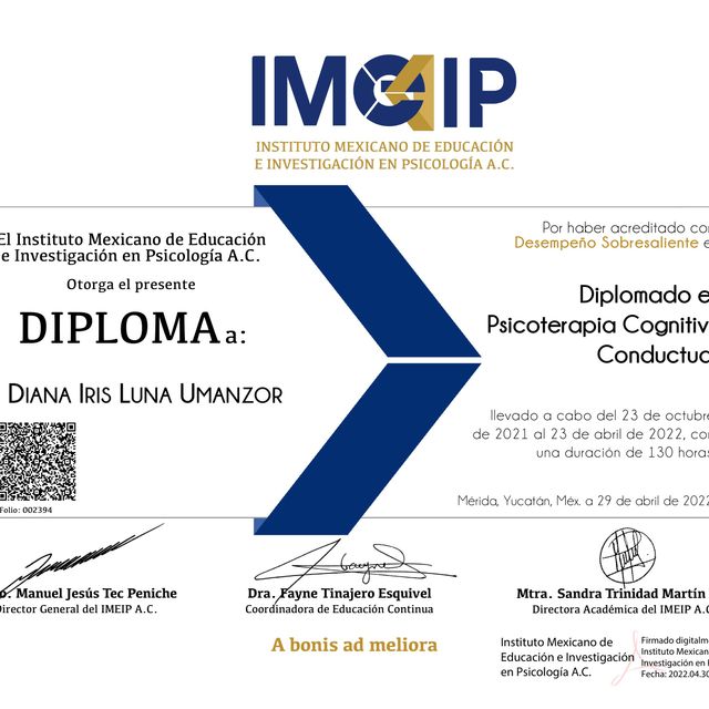Ampliar imagen: certificate 2