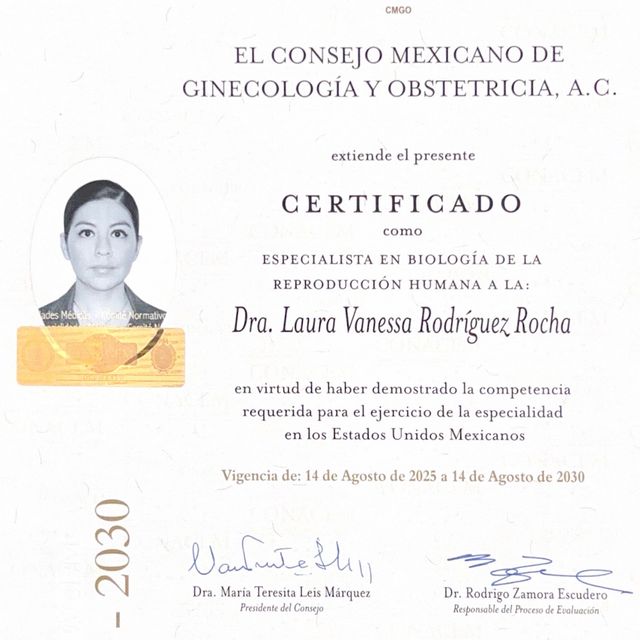 Ampliar imagen: certificate 7