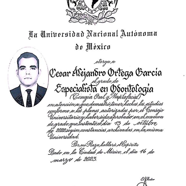 Ampliar imagen: certificate 1