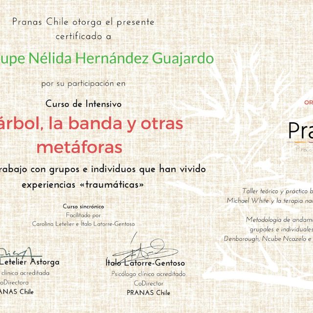 Ampliar imagen: certificate 1