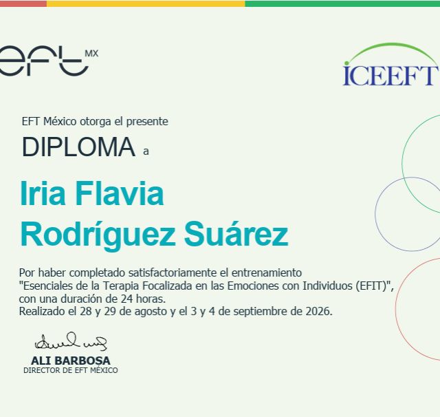 Ampliar imagen: certificate 4