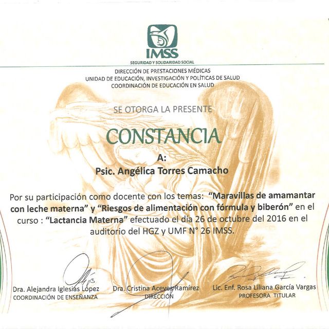 Ampliar imagen: certificate 7