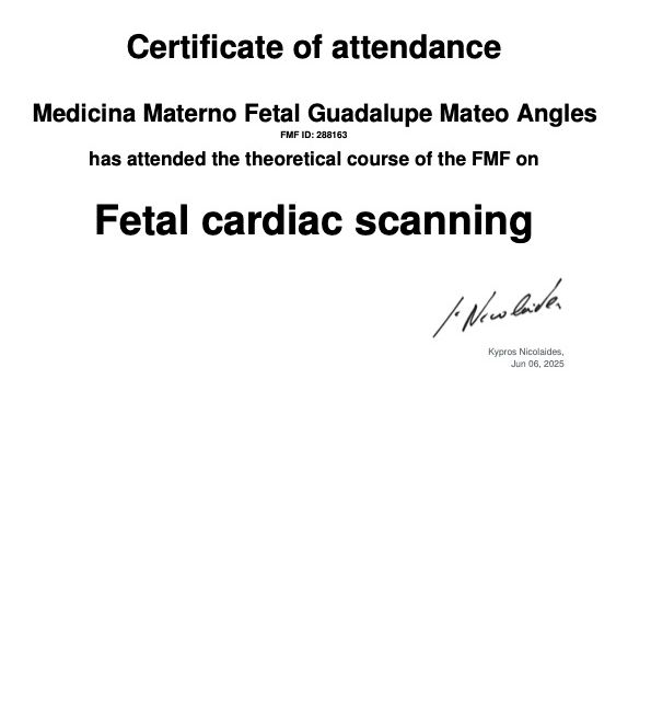 Ampliar imagen: certificate 6