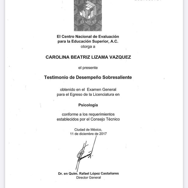 Ampliar imagen: certificate 1