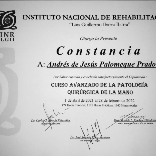 Ampliar imagen: certificate 2