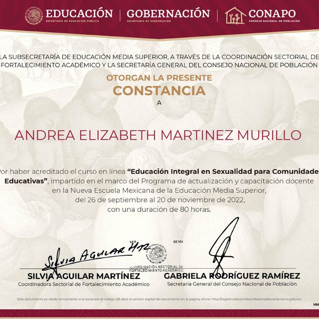 Ampliar imagen: certificate 44