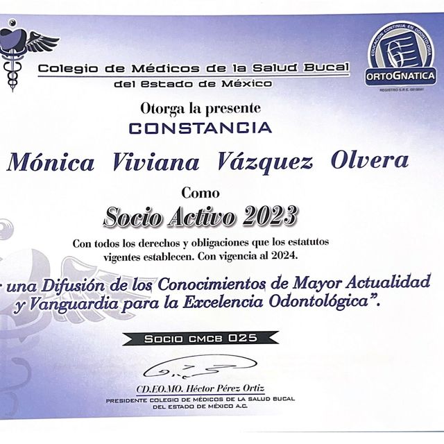 Ampliar imagen: certificate 45