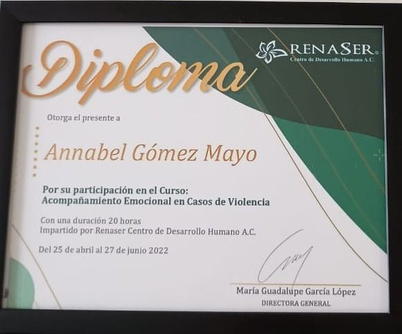 Ampliar imagen: certificate 7