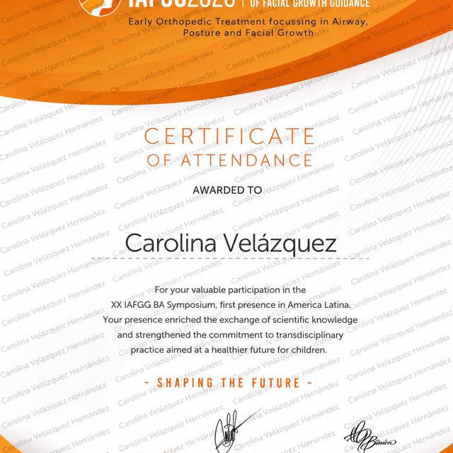 Ampliar imagen: certificate 4