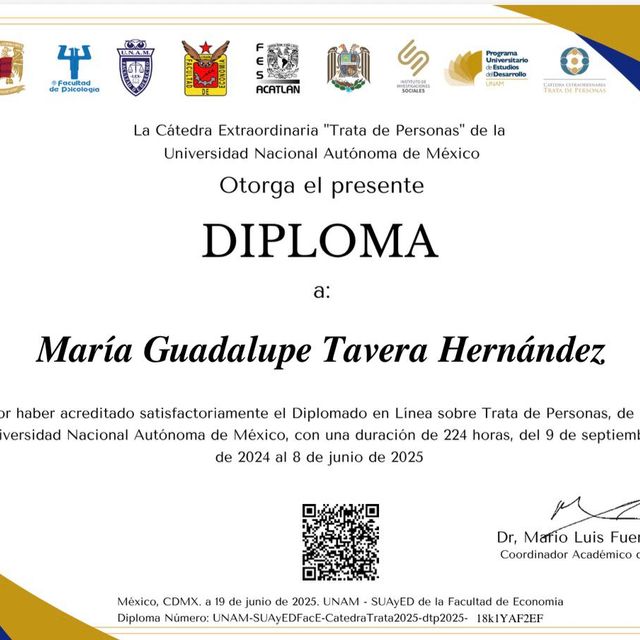 Ampliar imagen: certificate 79