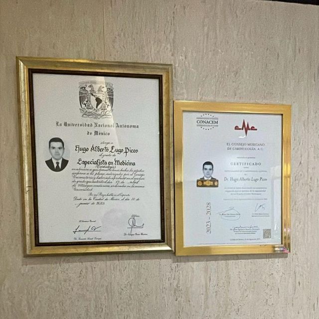 Ampliar imagen: certificate 1