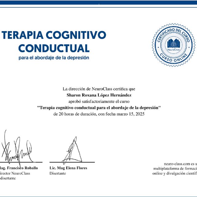Ampliar imagen: certificate 3
