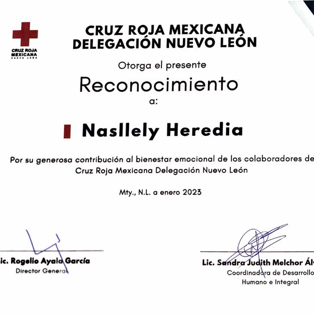 Ampliar imagen: certificate 3
