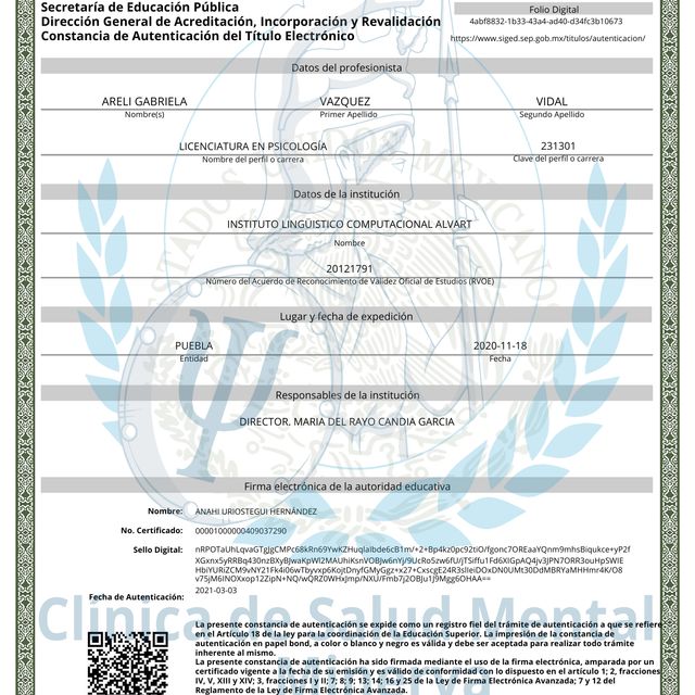 Ampliar imagen: certificate 4