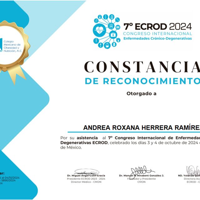 Ampliar imagen: certificate 10