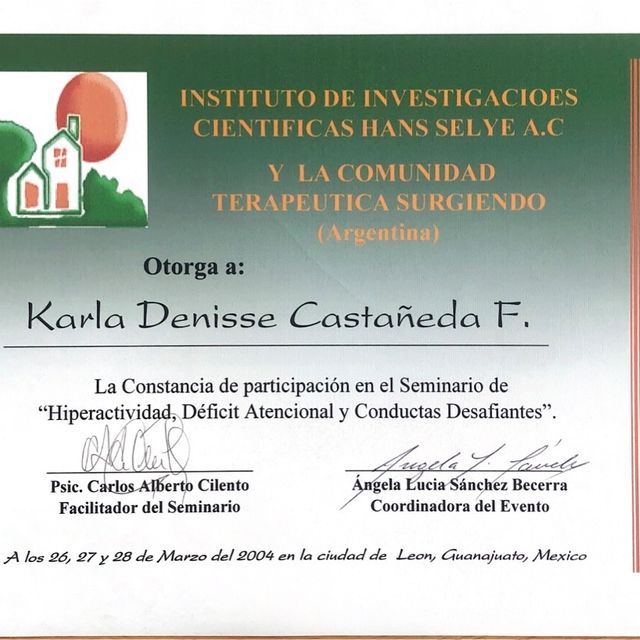 Ampliar imagen: certificate 4