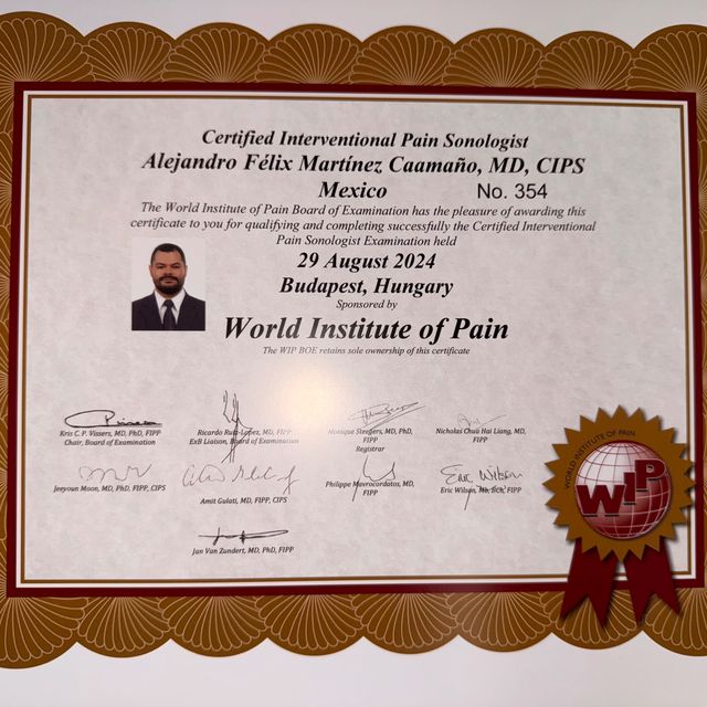 Ampliar imagen: certificate 74