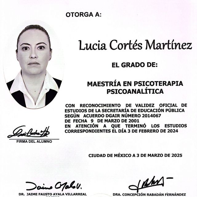 Ampliar imagen: certificate 2