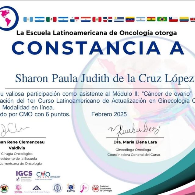 Ampliar imagen: certificate 20