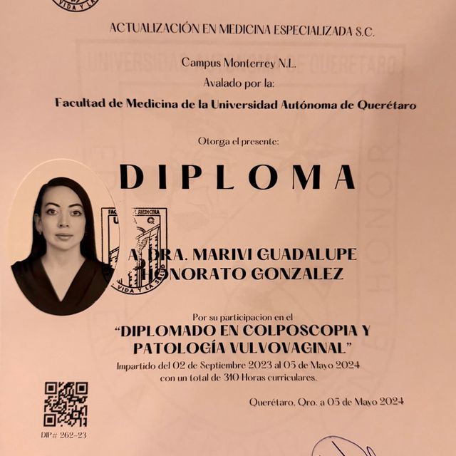 Ampliar imagen: certificate 5