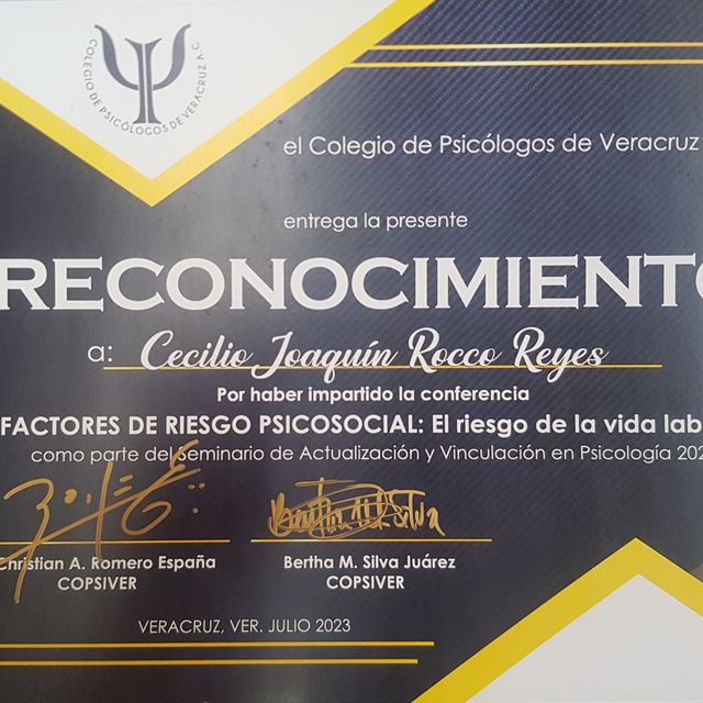 Ampliar imagen: certificate 7