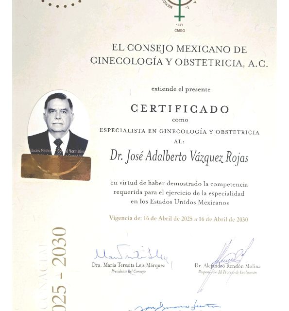 Ampliar imagen: certificate 1