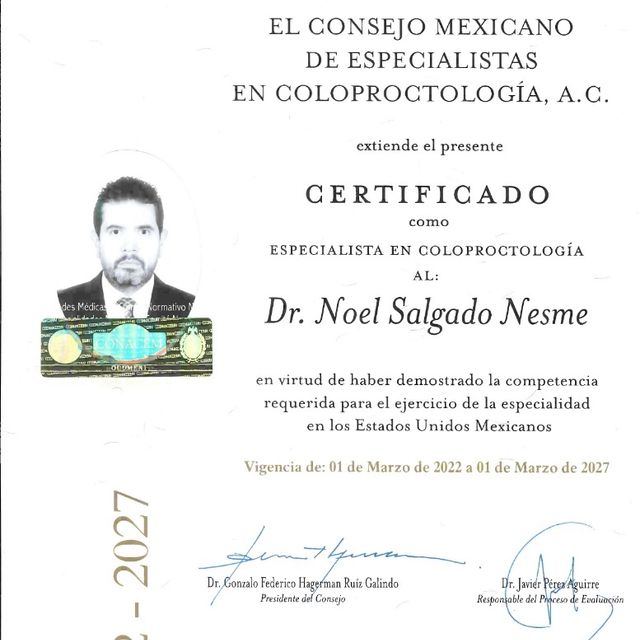 Ampliar imagen: certificate 1