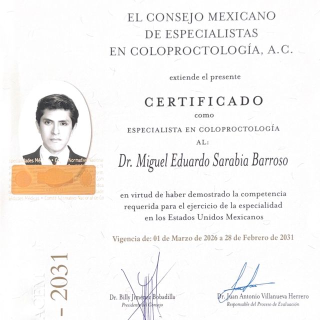 Ampliar imagen: certificate 2