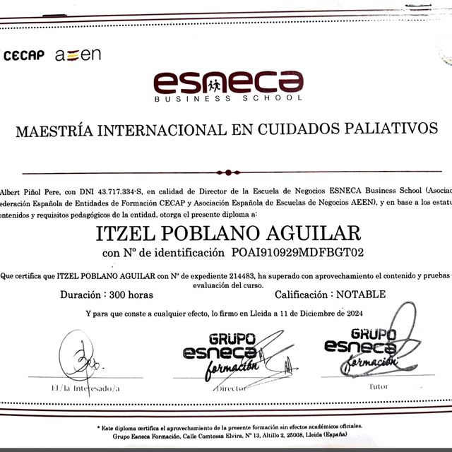Ampliar imagen: certificate 7