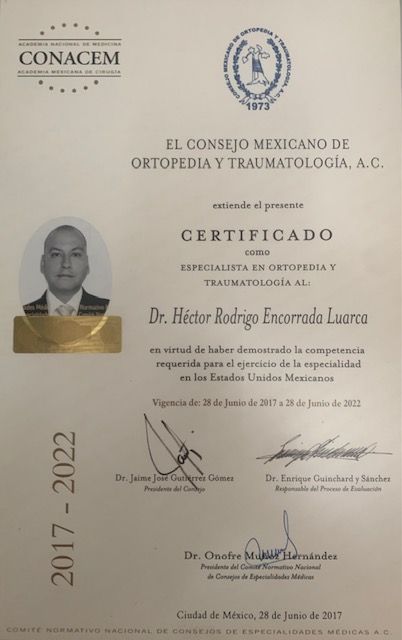 Ampliar imagen: certificate 1