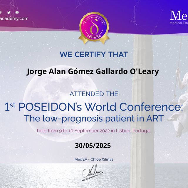 Ampliar imagen: certificate 4