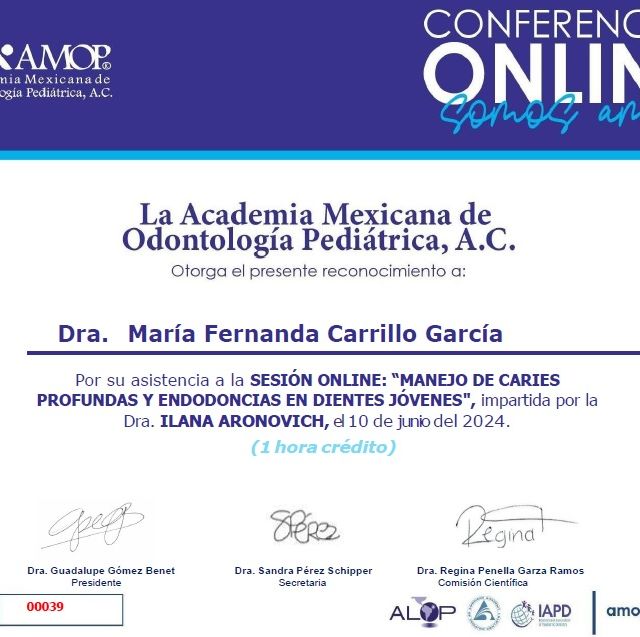 Ampliar imagen: certificate 10