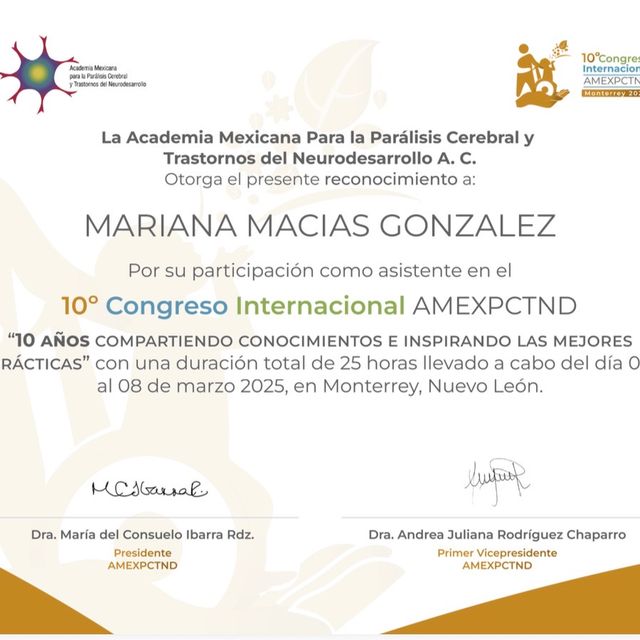 Ampliar imagen: certificate 3