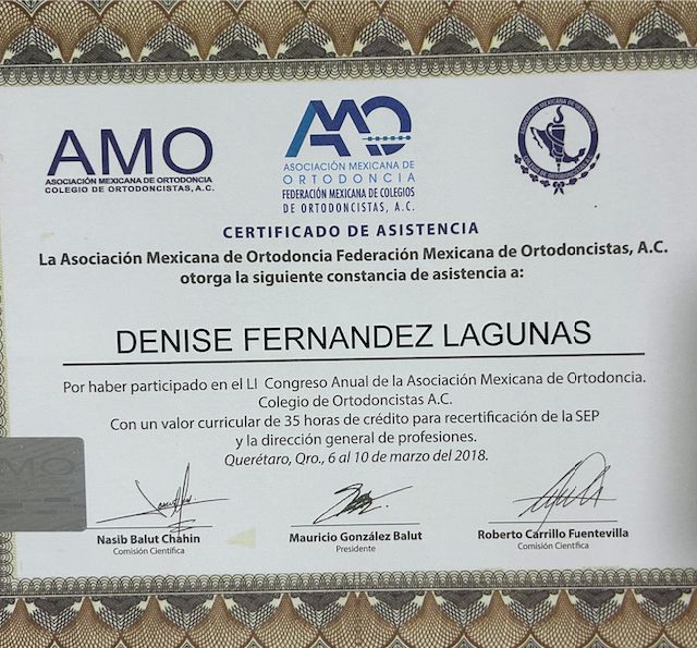 Ampliar imagen: certificate 19