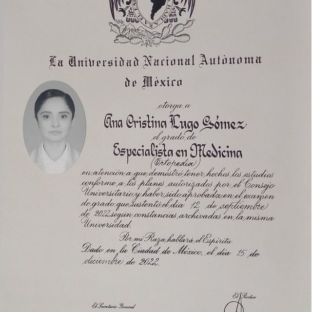 Ampliar imagen: certificate 2