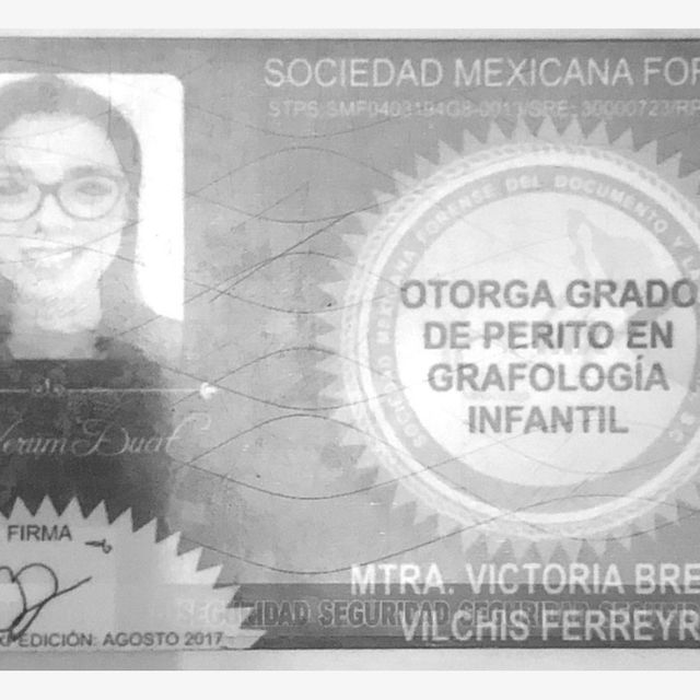 Ampliar imagen: certificate 5