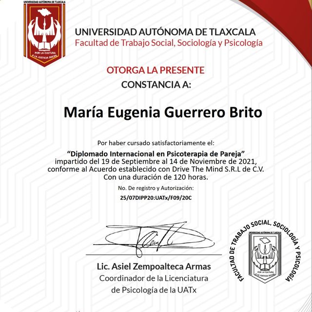 Ampliar imagen: certificate 1