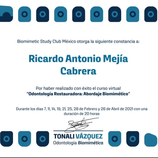 Ampliar imagen: certificate 6