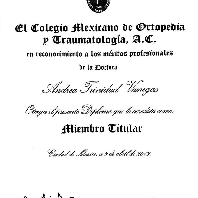 Ampliar imagen: certificate 4