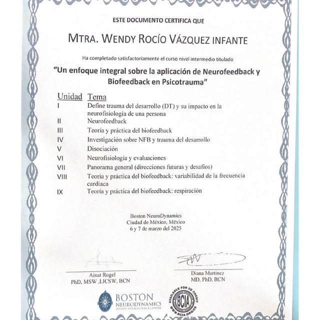 Ampliar imagen: certificate 4